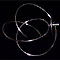  Radiaculum 